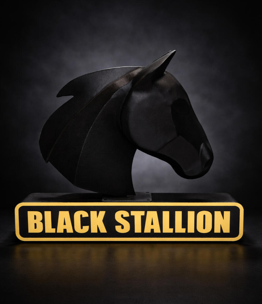 Black Stallion Black Stallion