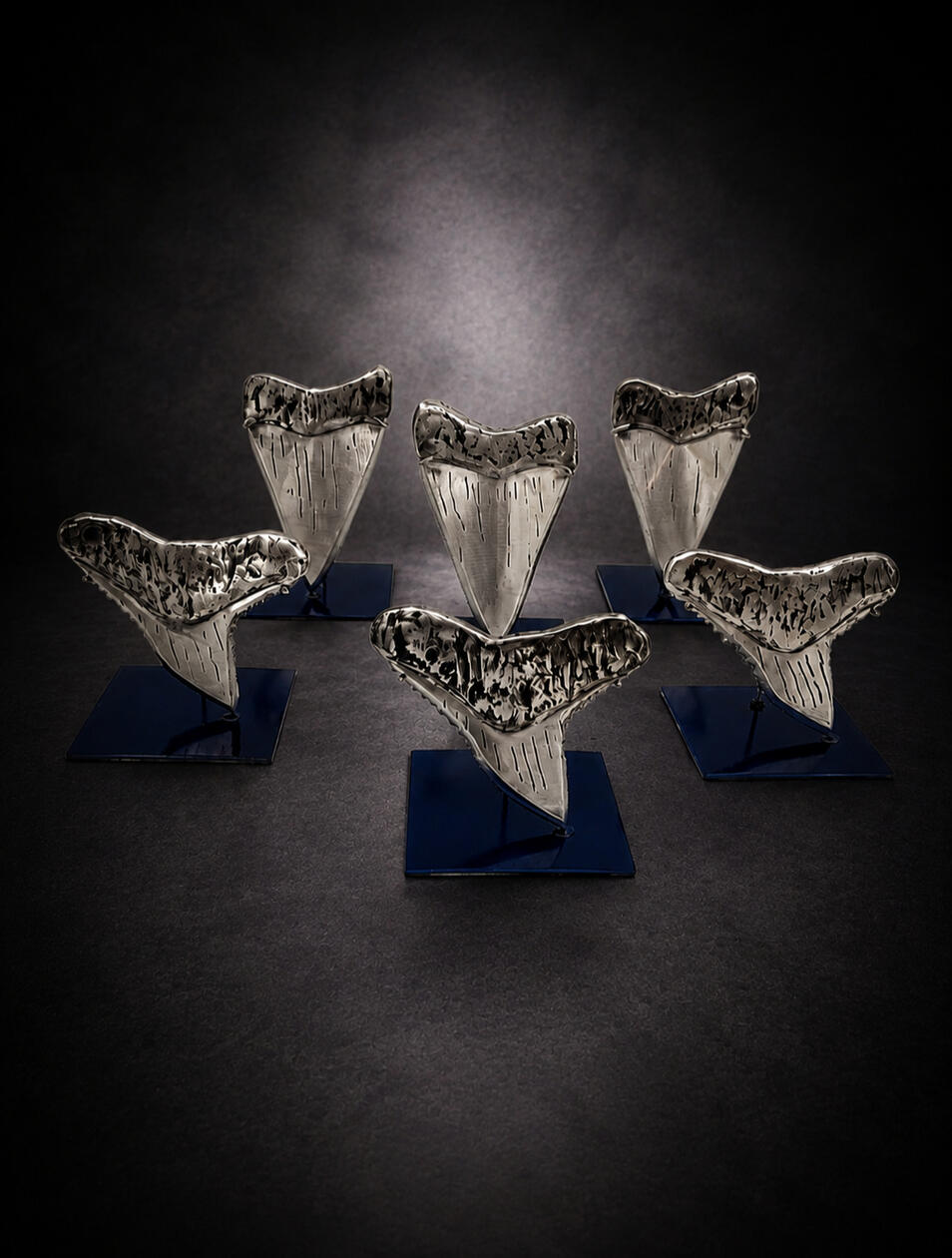 Shark Tooth
